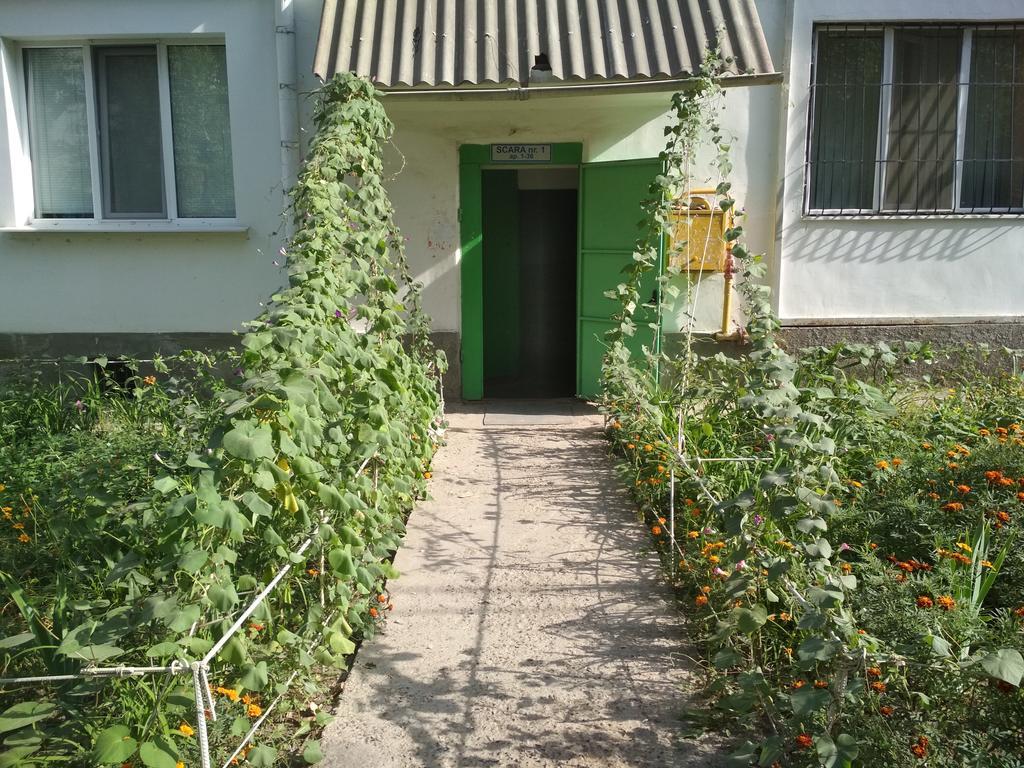 Cute Small Flat 18 Apartment Chisinau Exterior foto